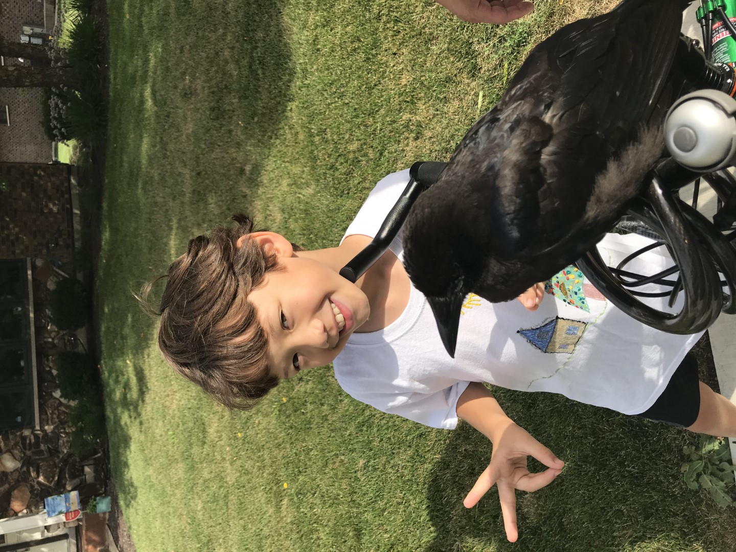 welke vogel zou dit kunnen zijn?